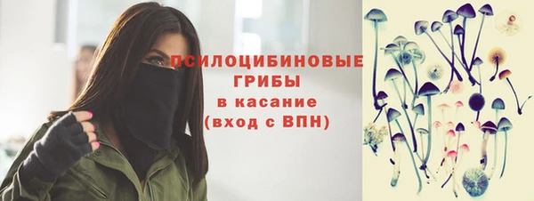 крисы Инсар