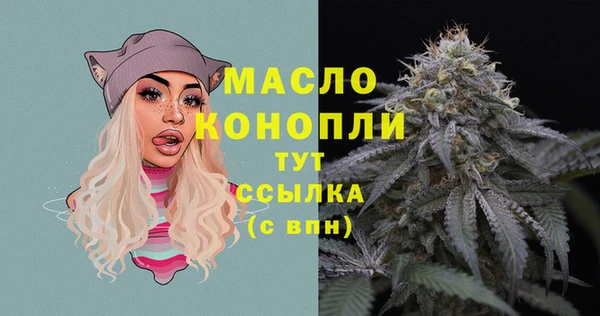 крисы Инсар