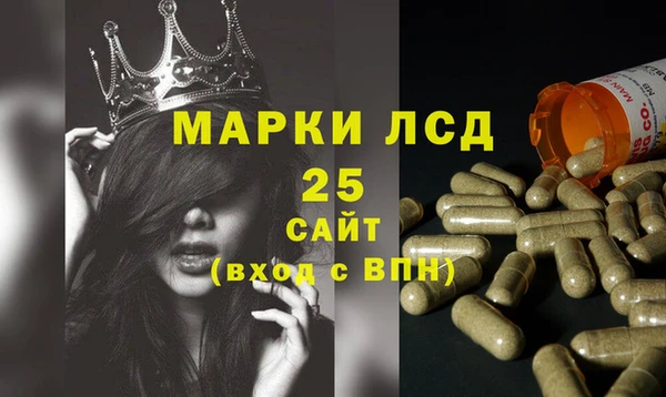 крисы Инсар
