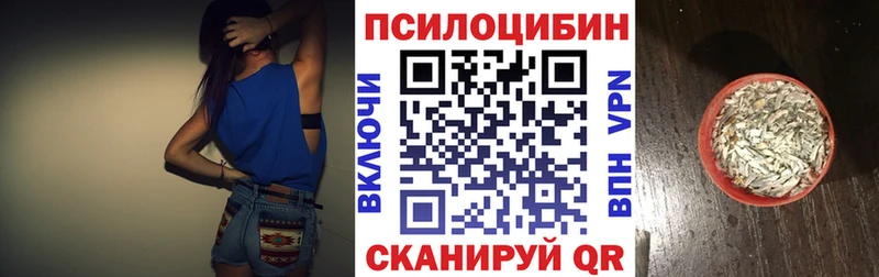 ОМГ ОМГ как войти  Инта  Галлюциногенные грибы мицелий 